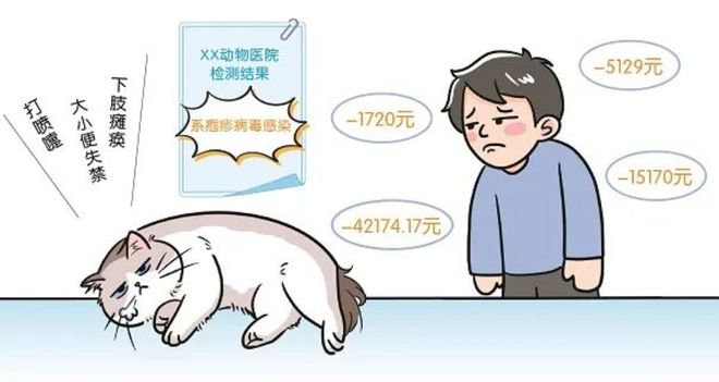 3萬買貓后續(xù)治療費(fèi)6萬法院判了！(圖3)